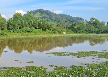 Tobek Rajo: Jejak Sejarah, Pesona, dan Mimpi Besar Destinasi Wisata Nagari Gunung Medan
