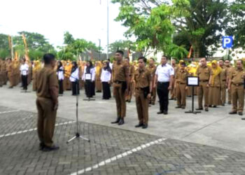 CPNS di Pemko Padang Sepi Peminat, ini Daftar Formasi Tanpa Pelamar