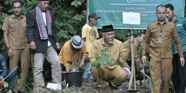 Optimalisasi Perhutanan Sosial, Mahyeldi Berhasil Tingkatkan Kesejahteraan Petani Sumbar