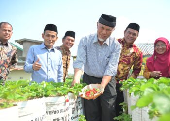 Selama Periode Mahyeldi-Audy, Pertumbuhan Sektor Pertanian Sumbar Makin Menjanjikan