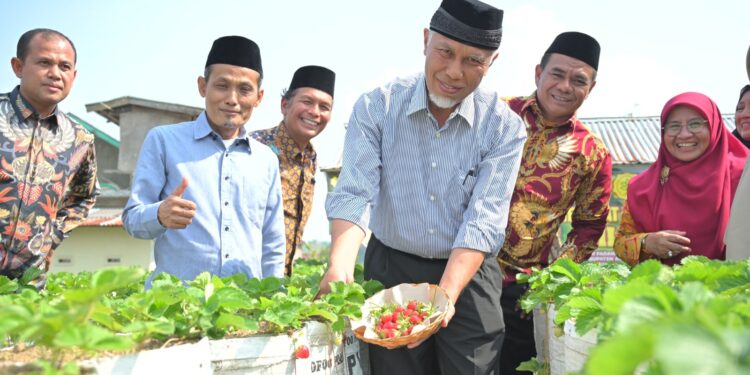 Selama Periode Mahyeldi-Audy, Pertumbuhan Sektor Pertanian Sumbar Makin Menjanjikan