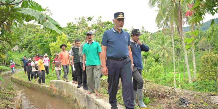 Ketahanan Pangan Sumbar Terbaik Kelima Nasional karena Optimalnya Pengelolaan Irigasi
