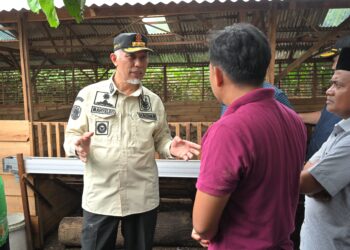 Pemprov Sumbar Terus Optimalkan Pembangunan Sektor Perternakan