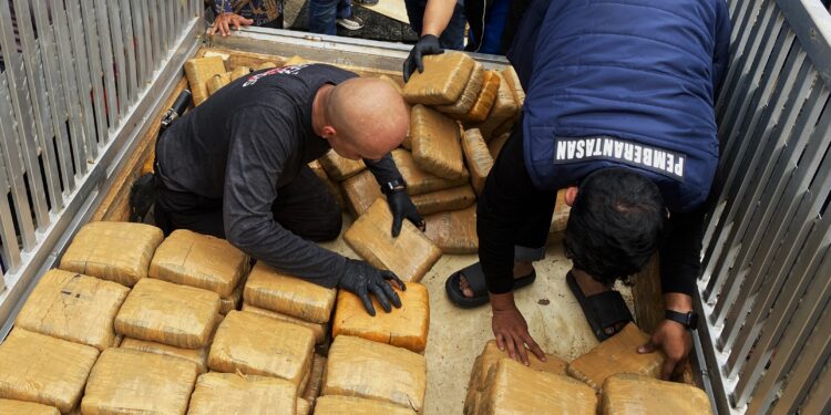 BNN Gagalkan Peredaran 624 Kg Lebih Ganja Asal Aceh di Sumbar