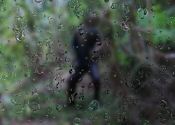 Pria Paruh Baya di Padang Pariaman Tewas Tergantung di Perkebunan