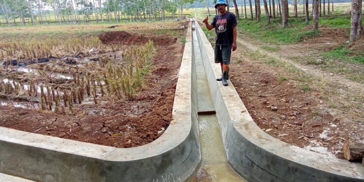 Petani Dharmasraya Sambut Antusias Program P3-TGAI Puan Maharani Melalui Alex Indra Lukman