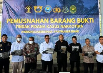 BNNP Sumbar Musnahkan 624,5 Kg Ganja Sitaan dari Dua Kabupaten