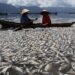 75 Ton Ikan di Danau Maninjau Mati Akibat Cuaca Ekstrem