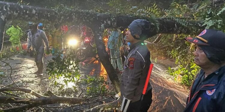 Akses Jalan Lintas Padang – Bengkulu Putus Diterjang Longsor