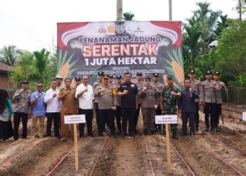 Pemkab Dharmasraya Ikut Program Tanam Jagung Satu Hektar