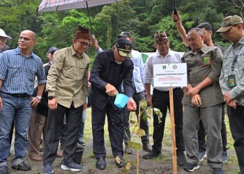 Mahyeldi Pimpin Penanaman Pohon Serentak demi Rehabilitasi Hutan dan Swasembada Pangan