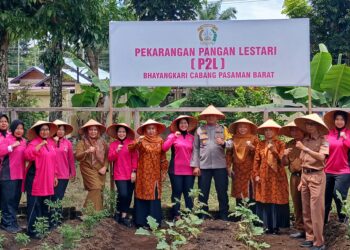 Dukung Ketahanan Pangan, GOW dan Bhayangkari Pasbar Luncur Program Pekarangan Lestari