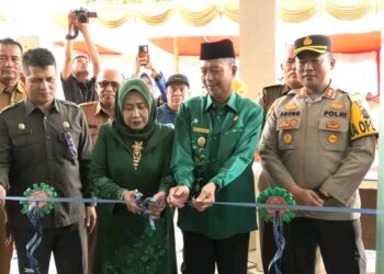Lengkap Fasilitas Gratis, Perpustakaan Rp10 Miliar Pasbar Diresmikan