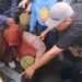 Dibagikan Secara Gratis, Balanjuang Durian di Kota Padang Berakhir Ricuh
