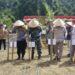 Pasbar Dukung Ketahanan Pangan Nasional dengan Tanam Padi Gogo