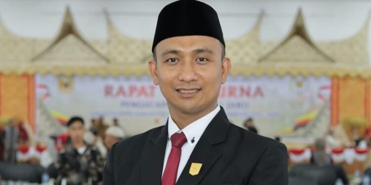 Anggota DPRD Kabupaten Tanah Datar, Yonnarlis (Foto: Ist)