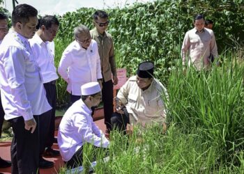 Kemajuan Sektor Pertanian Indonesia Bikin Bangga Presiden Prabowo