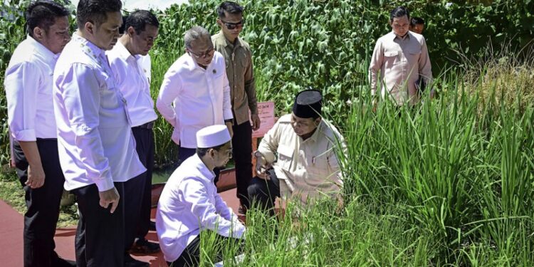 Kemajuan Sektor Pertanian Indonesia Bikin Bangga Presiden Prabowo