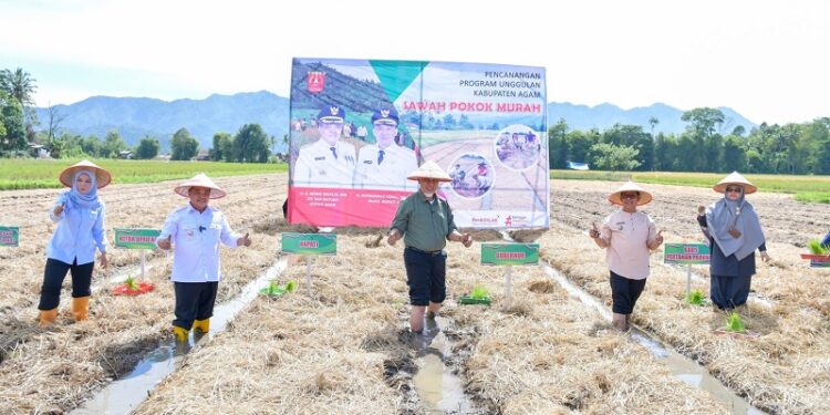 Pemkab Agam Lucurkan Program Sawah Pokok Murah