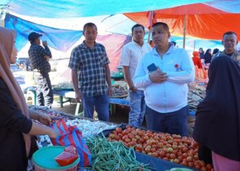 Inflasi Padang Panjang di Bawah Angka Inflasi Nasional