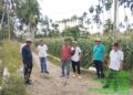 Anggota DPRD Sumbar, Khairuddin Simanjuntak Tinjau Pembangunan Jalan Usaha Tani di Pasaman
