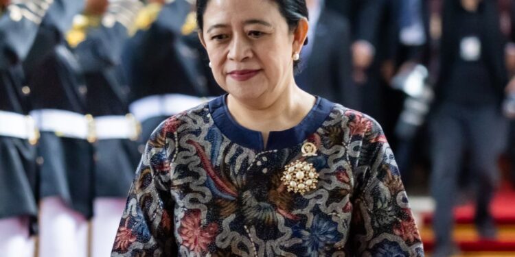 Ketua DPR RI, Puan Maharani. [foto : ist]