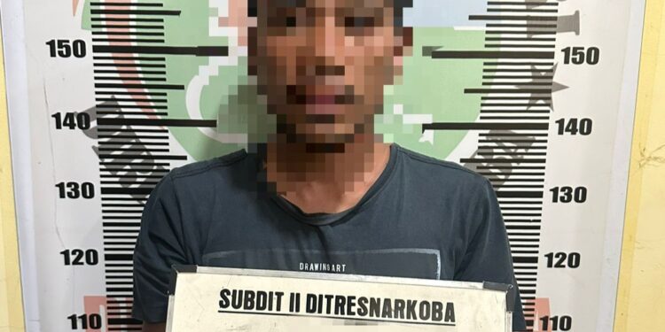 Diduga pelaku penyelundupan 17 paket besar ganja di Agam. [foto : ist]