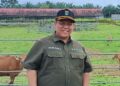 Kepala Dinas Peternakan dan Kesehatan Hewan Sumatera Barat, Sukarli. [foto : ist]