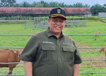 Kepala Dinas Peternakan dan Kesehatan Hewan Sumatera Barat, Sukarli. [foto : ist]