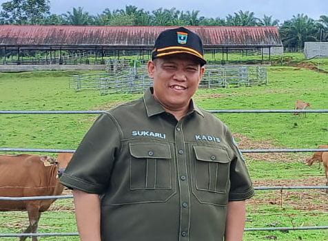 Kepala Dinas Peternakan dan Kesehatan Hewan Sumatera Barat, Sukarli. [foto : ist]