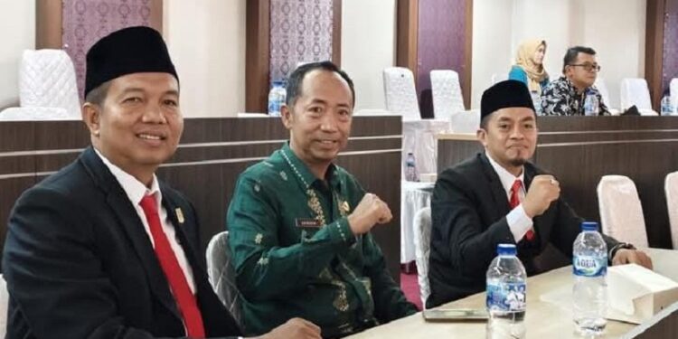 Waka DPRD Dharmasraya Hadiri HJK Sijunjung ke-76