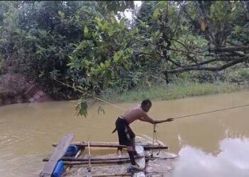 Jembatan Gantung Ambruk di Nagari Koto Padang Lumpuhkan Ekonomi Petani