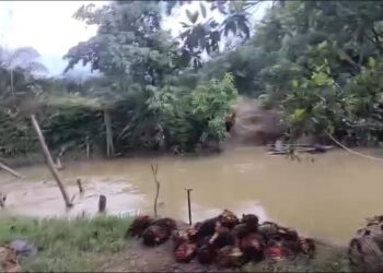 Jembatan Ambruk di Nagari Koto Padang Tak Kunjung Diperbaiki, Plt Kepala Dinas PUPR Dharmasraya: Tak Ada Anggaran