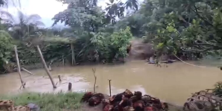 Jembatan Ambruk di Nagari Koto Padang Tak Kunjung Diperbaiki, Plt Kepala Dinas PUPR Dharmasraya: Tak Ada Anggaran