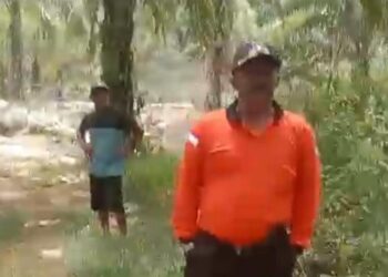 Klarifikasi Wali Nagari Koto Gadang, Lahan Sawit yang Dipinjamkan ke Petani Akan Diremajakan