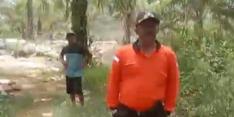 Klarifikasi Wali Nagari Koto Gadang, Lahan Sawit yang Dipinjamkan ke Petani Akan Diremajakan