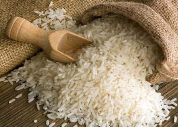 Sumbar Sumbang 1.146 Ton Beras ke Cadangan Nasional, Donizar: Simbol Ketahanan dan Harapan Petani