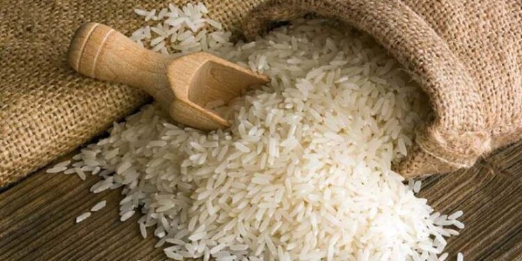 Sumbar Sumbang 1.146 Ton Beras ke Cadangan Nasional, Donizar: Simbol Ketahanan dan Harapan Petani