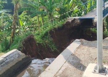 Saluran Irigasi Putus, Sawah Warga Tiga Kelurahan di Payakumbuh Terancam Kekeringan