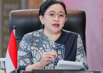 Ketua DPR RI, Puan Maharani. [foto : ist]