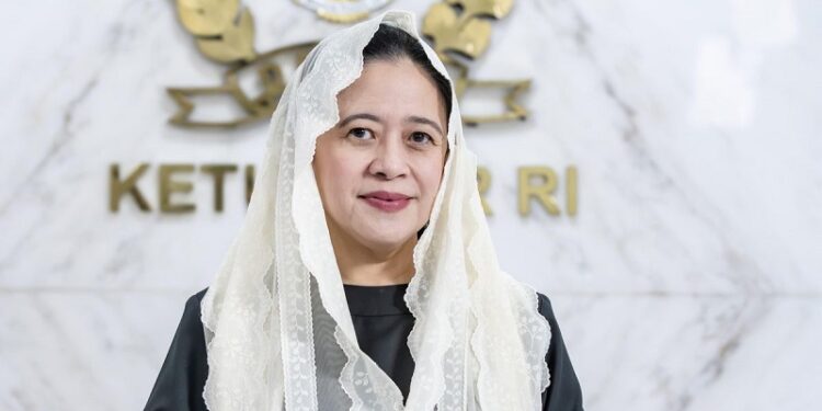 Ketua DPR RI, Puan Maharani. [foto : ist]