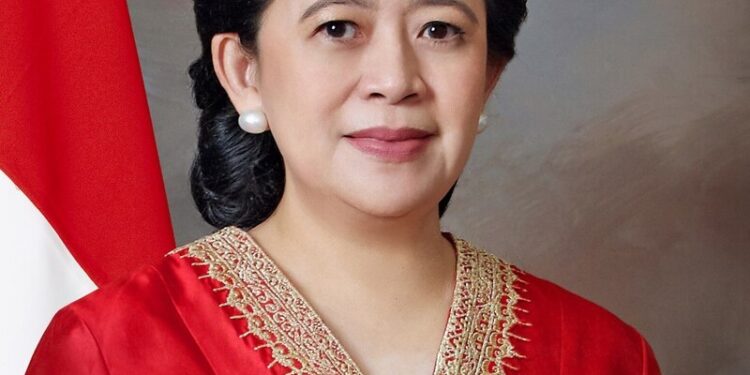 Ketua DPR RI, Puan Maharani. [foto : ist]