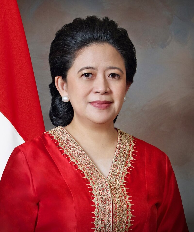 Ketua DPR RI, Puan Maharani. [foto : ist]