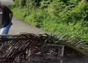 Aksi Mogok Sopir Pengganti PT Dharmasraya Lestarindo, Jalan Masuk ke Pabrik Diblokir