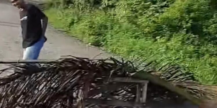 Aksi Mogok Sopir Pengganti PT Dharmasraya Lestarindo, Jalan Masuk ke Pabrik Diblokir