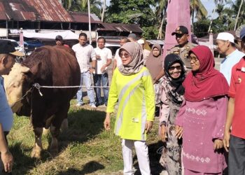 Momentum Iduladha 1446 H, Jorong Pasar Lama Terima Bantuan Sapi Kurban Presiden