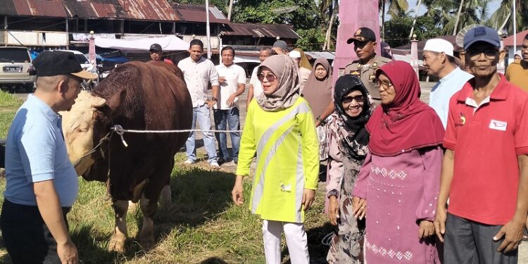 Momentum Iduladha 1446 H, Jorong Pasar Lama Terima Bantuan Sapi Kurban Presiden