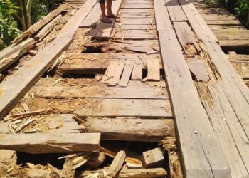 Jembatan Kayu Sungai Panonggahan Nagari Panyubarangan di Timpeh Dharmasraya Rusak Parah, Warga Resah