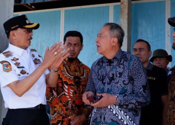 Pesisir Selatan Gandeng Investor Jepang untuk Kembangkan Energi Terbarukan, Kelautan, dan Wisata