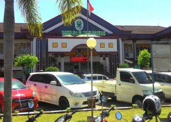 RSUD dr M Zein Painan (Foto: Ist)